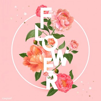 Pink flower typography | Free stock vector - 562845