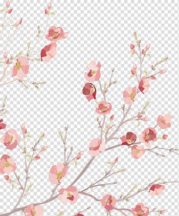 Pink flowering tree illustration, Watercolor painting Flower, Floral decoration transparent background PNG clipart