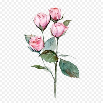 Pink flowers 