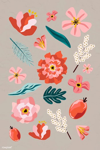 Pink flowers and leaves element set on a beige background evctor | Free  vector - 2253569