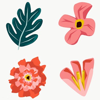 Pink flowers and leaves element set transparent png | Free  transparent png - 2253537