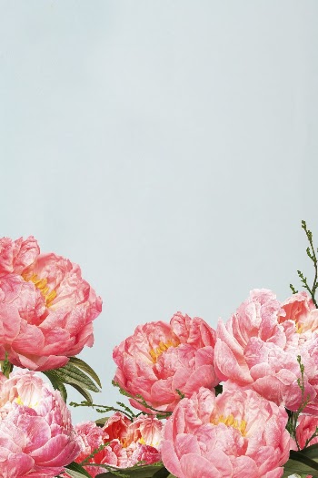 Pink flowers border background background, | Free Photo - rawpixel