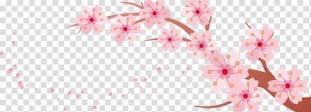 Pink flowers , Cherry blossom Banner, Spring pink cherry creative transparent background PNG clipart