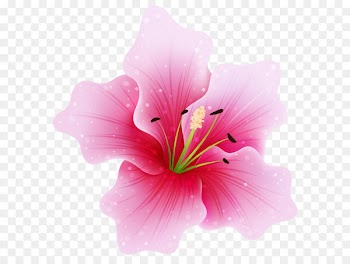Pink flowers Clip art - Large Pink Flower PNG Clipart 