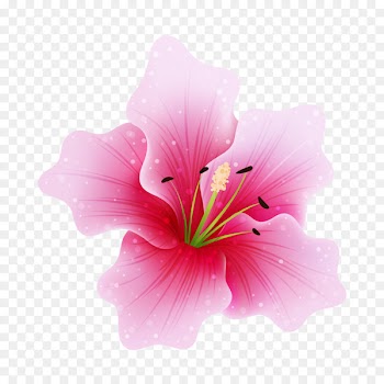Pink flowers Clip art Rose Portable Network Graphics - rose 