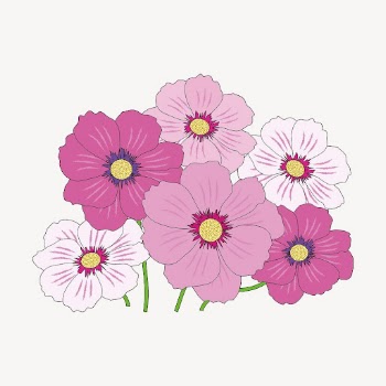 Pink flowers clipart, cosmos illustration | Free PSD - rawpixel
