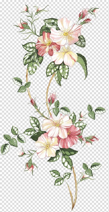 Pink flowers illustration, Floral design Drawing Watercolor painting Flower Sketch, flower transparent background PNG clipart