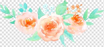 Pink flowers illustration, Garden roses Beach rose Flower, Orange painted pattern of roses transparent background PNG clipart