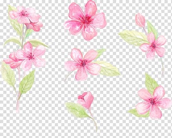 Pink flowers illustration, Paper Floral design Flower , hand-painted flowers transparent background PNG clipart