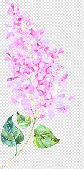 Pink flowers illustration, Watercolor painting Flower Floral design, Floating Flower transparent background PNG clipart