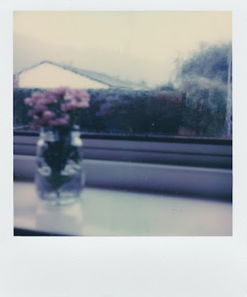 Pink Flowers in Clear Jar