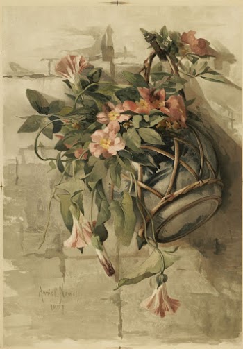 Pink Flowers in Hanging Vase | Free Photo - rawpixel