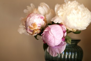 Pink Flowers in Vase