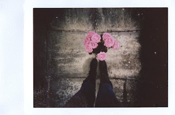 Pink Flowers on Brown Surface