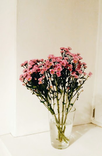 Pink Flowers on Clear Glass Flower Vase