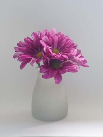 Pink Flowers on White Vase