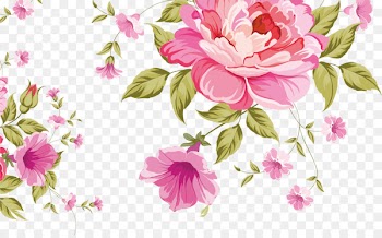 Pink flowers Pattern - Pink roses background 