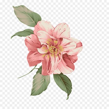 Pink flowers Pattern - Watercolor flowers 