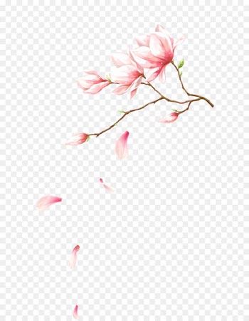 Pink flowers Petal Computer file - Flowers with petals falling on 