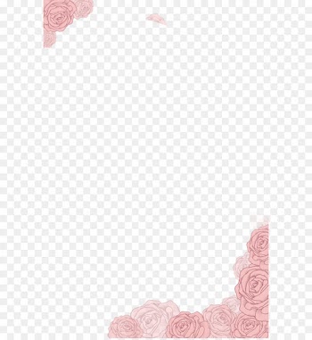 Pink flowers Pink flowers - Pink hand-painted flower border texture 