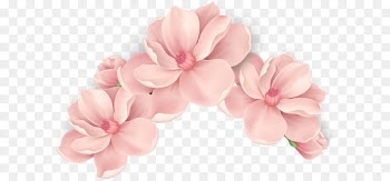 Pink flowers Pink flowers - Vector hand painted pink flowers 