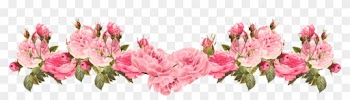 Pink Flowers Rose Clip Art - Floral Border Transparent Background