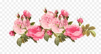 Pink flowers Rose Clip art - flower 