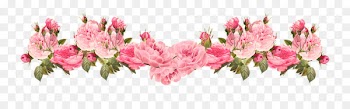 Pink flowers Rose Clip art - Vintage Pink Rose Border Png 