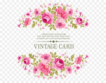 Pink flowers Rose Stock photography - Symmetric flowers invitations vector material 