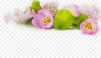 Pink flowers Tulip Floral design Petal -  