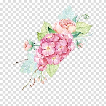 Pink flowers , Watercolor: Flowers Rose Watercolor painting Floral design, Watercolor flowers for free transparent background PNG clipart
