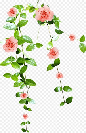 Pink flowers Watercolor painting Clip art - Flower vine 
