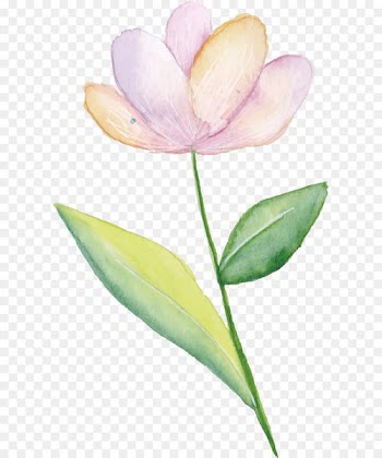 Pink flowers Watercolor painting - Small fresh pink flowers 