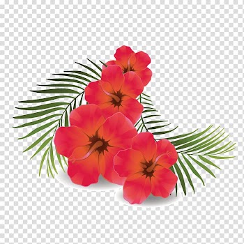 Pink flowers with leaves, Shoeblackplant Euclidean Icon, green leaves Hibiscus transparent background PNG clipart