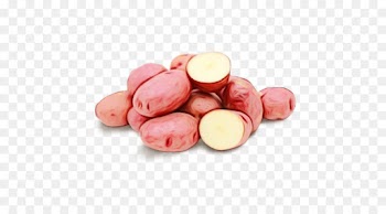 pink food vegetable plant tuber