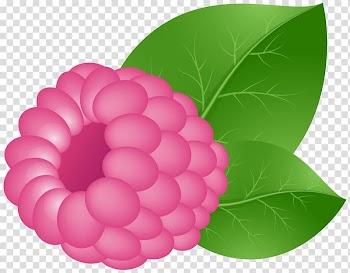 Pink fruit illustration, Raspberry Fruit , Raspberry transparent background PNG clipart