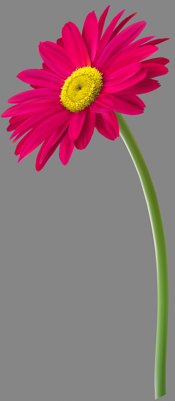 Pink Gerbera Flower PNG Clip Art Image | Gallery Yopriceville ...