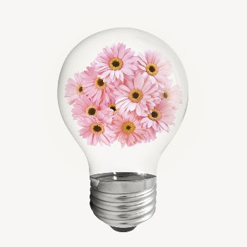 Pink gerbera flowers light bulb, | Free PSD - rawpixel