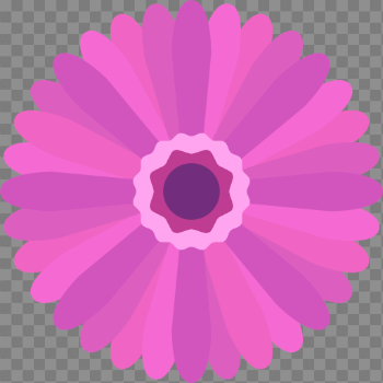 Pink Gerbera PNG Download Image