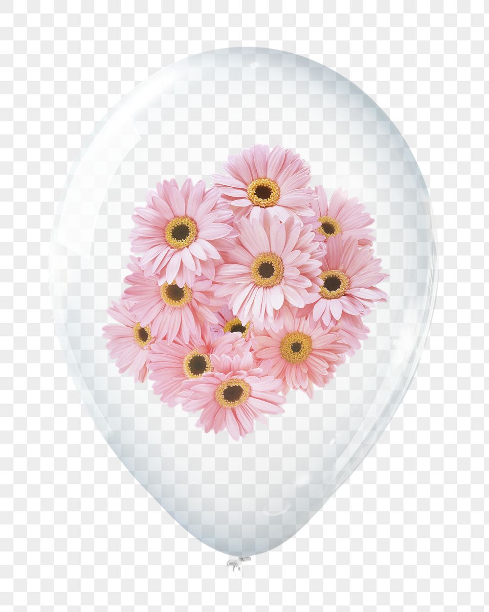 Pink gerbera png, flower in clear | Free PNG - rawpixel