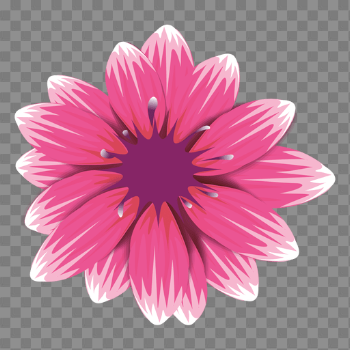 Pink Gerbera PNG Image Background