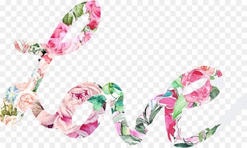 pink hair accessory fashion accessory hair tie plant