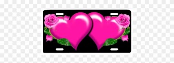 Pink Hearts With Roses - Rose