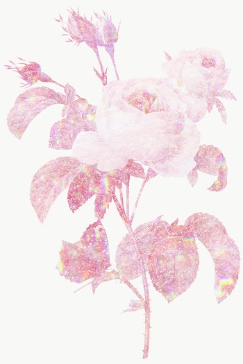 Pink holographic cabbage rose flower design element | Free  transparent png - 2347959