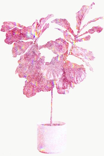 Pink holographic fiddle leaf fig tree design element | Free  transparent png - 2355931