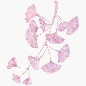 Pink holographic ginkgo branch design element | Free  transparent png - 2347904