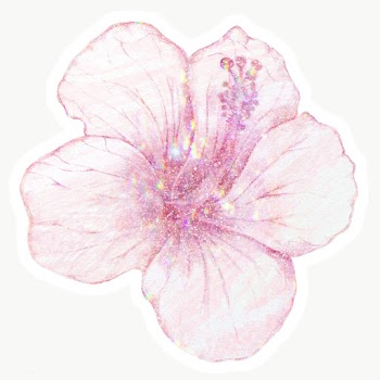 Pink holographic hibiscus flower sticker with a white border | Free  transparent png - 2355970