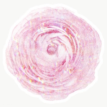 Pink holographic ranunculus sticker with a white border | Free  transparent png - 2355994