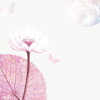 Pink holographic water lily background design element | Free  transparent png - 2364586