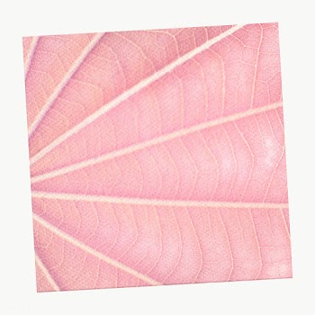 Pink leaf patterned notepaper design element | Free  transparent png - 2343738